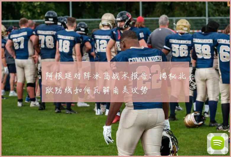 阿根廷对阵冰岛战术报告：揭秘北欧防线如何瓦解南美攻势