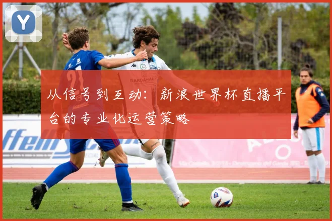 从信号到互动：新浪世界杯直播平台的专业化运营策略