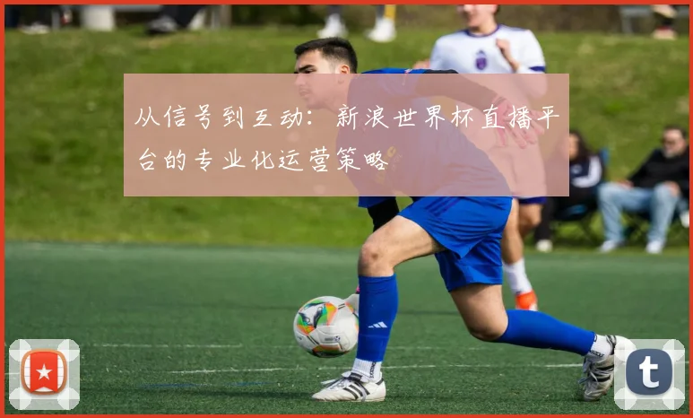 从信号到互动：新浪世界杯直播平台的专业化运营策略