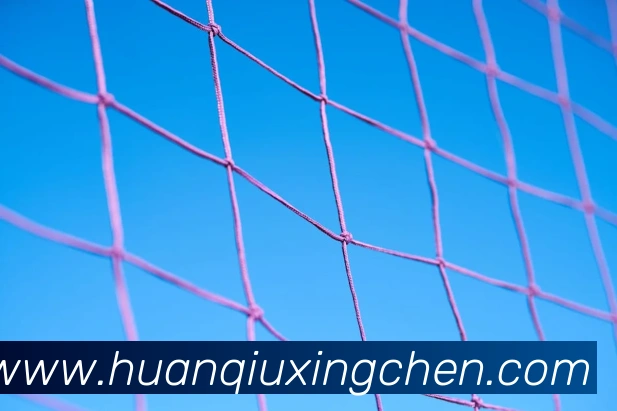 世界杯网址服务体系